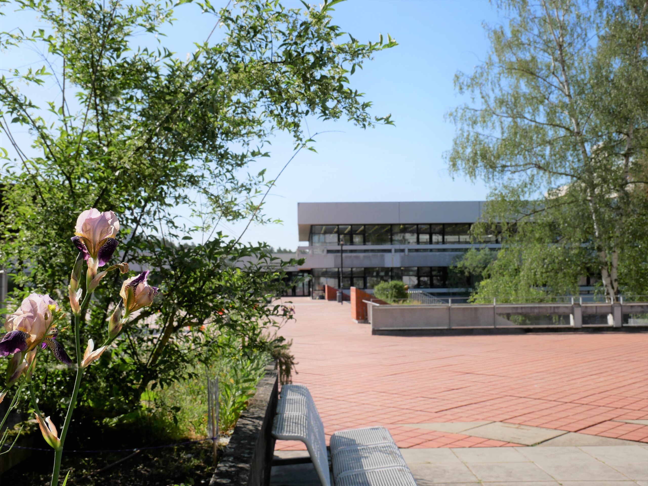 Towards entry "Re-registration for summer semester 2025"